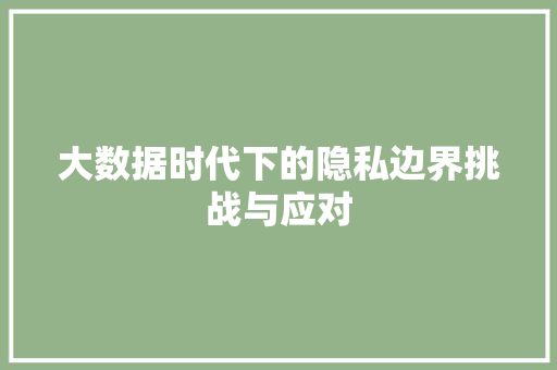 大数据时代下的隐私边界挑战与应对