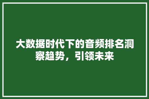 大数据时代下的音频排名洞察趋势，引领未来