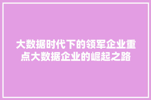 大数据时代下的领军企业重点大数据企业的崛起之路