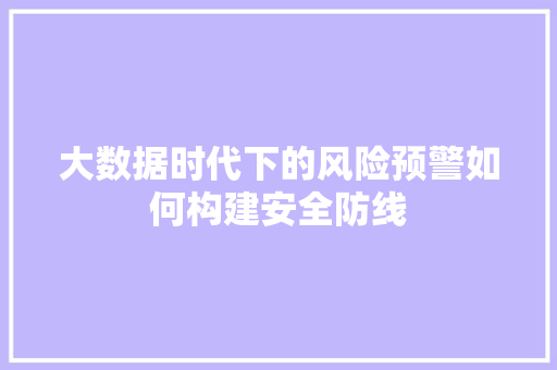 大数据时代下的风险预警如何构建安全防线