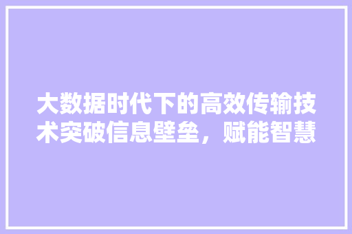 大数据时代下的高效传输技术突破信息壁垒，赋能智慧未来
