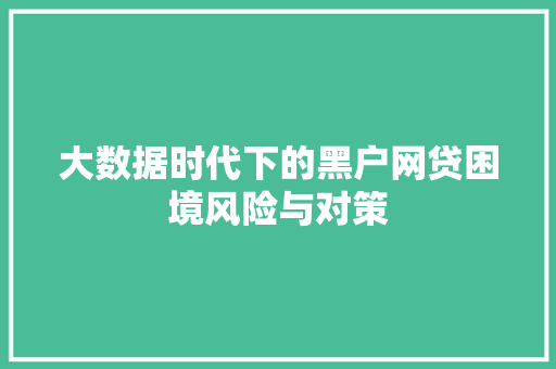 大数据时代下的黑户网贷困境风险与对策