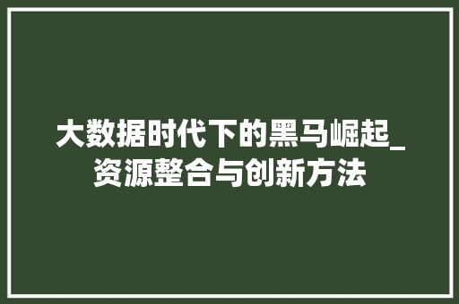 大数据时代下的黑马崛起_资源整合与创新方法