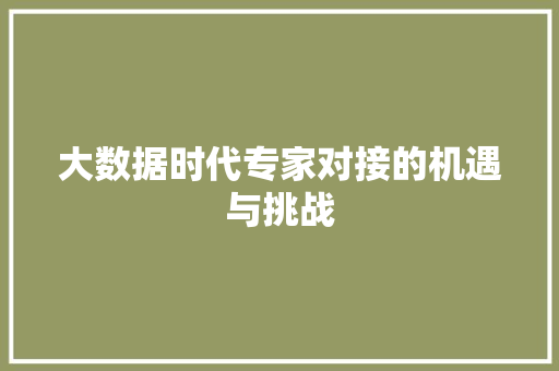 大数据时代专家对接的机遇与挑战