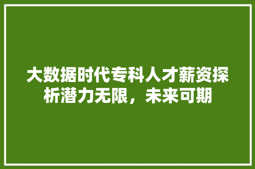 大数据时代专科人才薪资探析潜力无限，未来可期