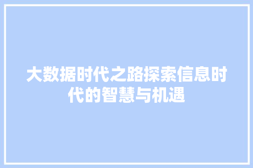 大数据时代之路探索信息时代的智慧与机遇 电脑基础