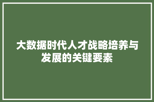 大数据时代人才战略培养与发展的关键要素