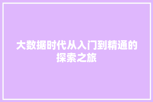 大数据时代从入门到精通的探索之旅