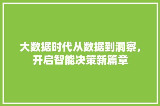 大数据时代从数据到洞察，开启智能决策新篇章