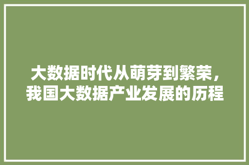 大数据时代从萌芽到繁荣，我国大数据产业发展的历程与展望