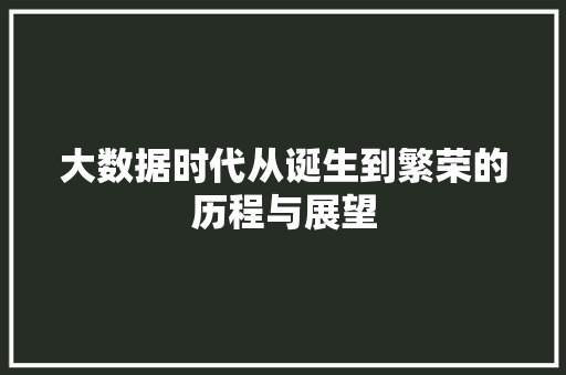 大数据时代从诞生到繁荣的历程与展望