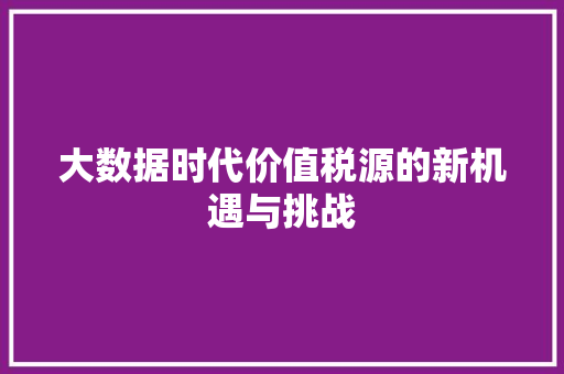 大数据时代价值税源的新机遇与挑战
