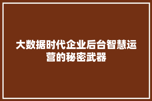 大数据时代企业后台智慧运营的秘密武器