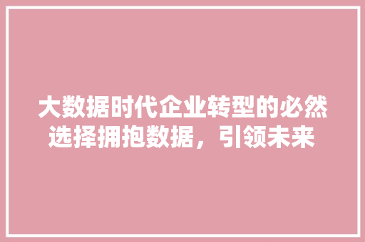 大数据时代企业转型的必然选择拥抱数据，引领未来