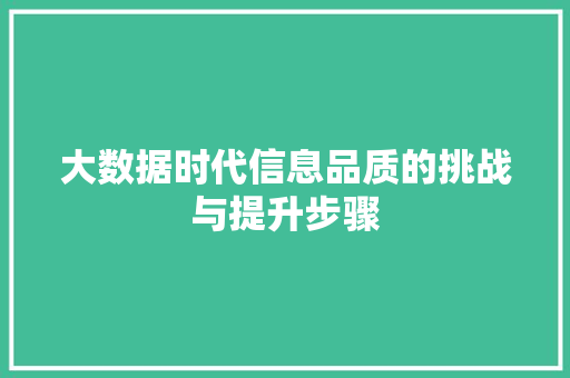 大数据时代信息品质的挑战与提升步骤