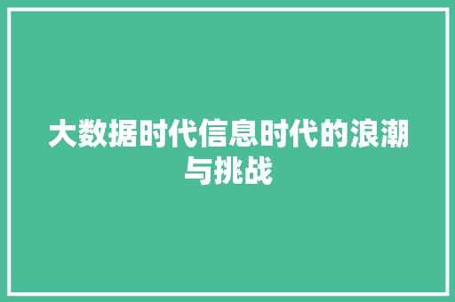 大数据时代信息时代的浪潮与挑战