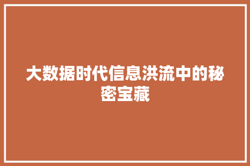 大数据时代信息洪流中的秘密宝藏