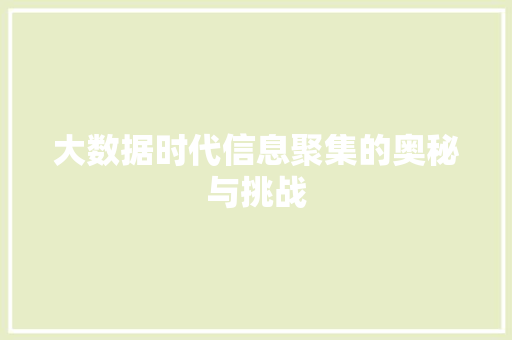 大数据时代信息聚集的奥秘与挑战