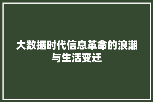 大数据时代信息革命的浪潮与生活变迁