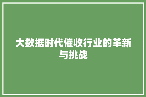 大数据时代催收行业的革新与挑战 电脑故障维修