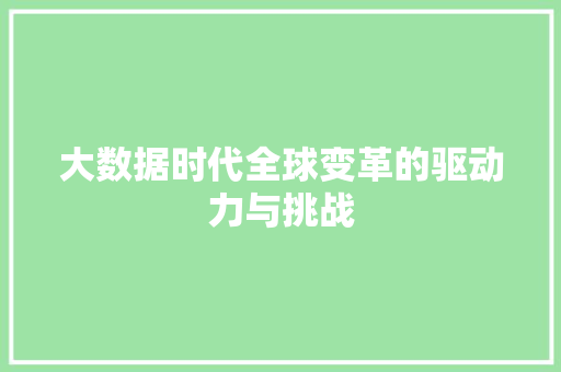 大数据时代全球变革的驱动力与挑战