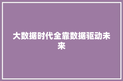 大数据时代全靠数据驱动未来