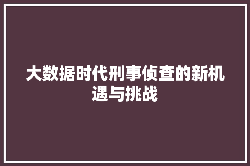 大数据时代刑事侦查的新机遇与挑战 大数据时代刑事侦查的新机遇与挑战
