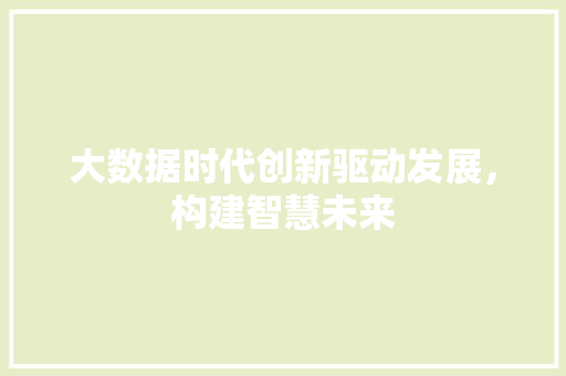 大数据时代创新驱动发展，构建智慧未来