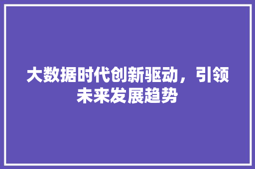 大数据时代创新驱动,引领未来发展趋势 大数据时代创新驱动,引领未来发展趋势