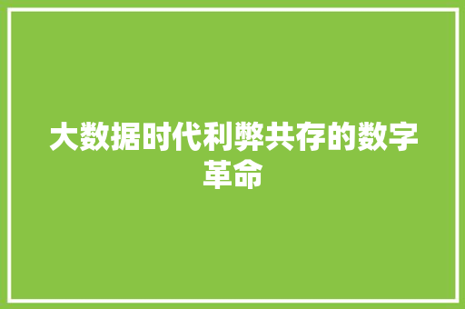 大数据时代利弊共存的数字革命