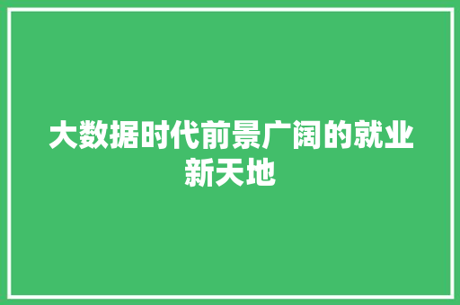 大数据时代前景广阔的就业新天地 电脑配置