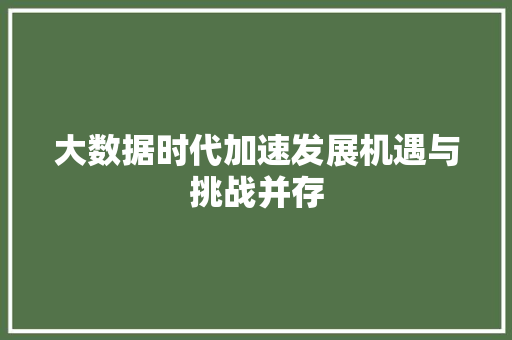 大数据时代加速发展机遇与挑战并存