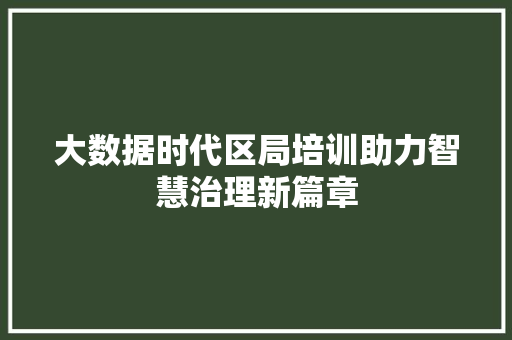 大数据时代区局培训助力智慧治理新篇章