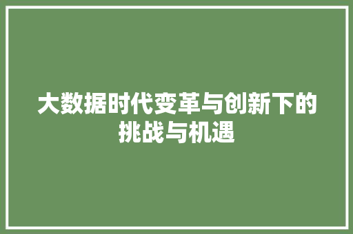 大数据时代变革与创新下的挑战与机遇