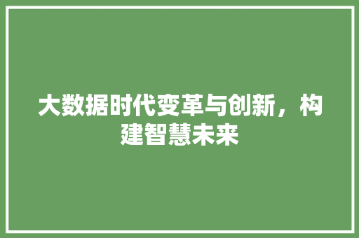 大数据时代变革与创新，构建智慧未来