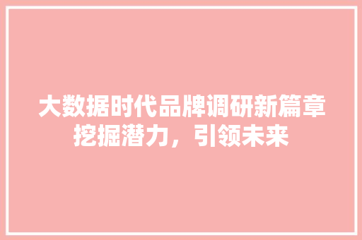 大数据时代品牌调研新篇章挖掘潜力，引领未来