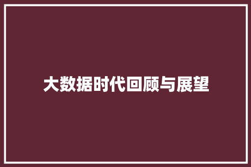 大数据时代回顾与展望