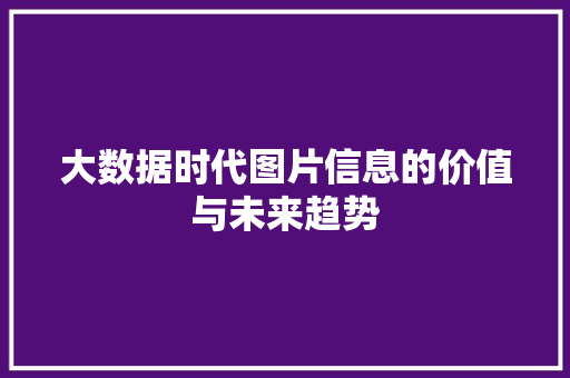 大数据时代图片信息的价值与未来趋势