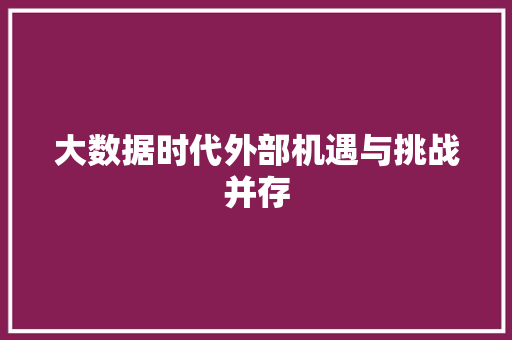 大数据时代外部机遇与挑战并存 编程语言