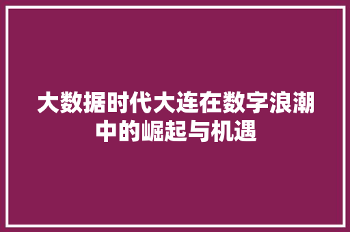 大数据时代大连在数字浪潮中的崛起与机遇