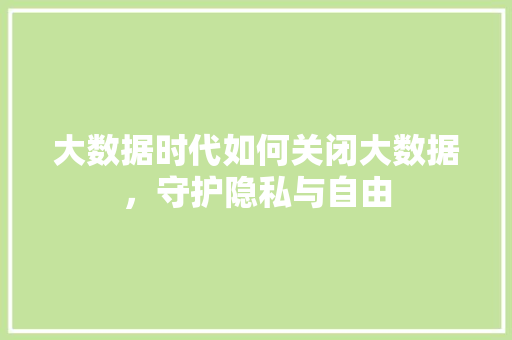 大数据时代如何关闭大数据，守护隐私与自由