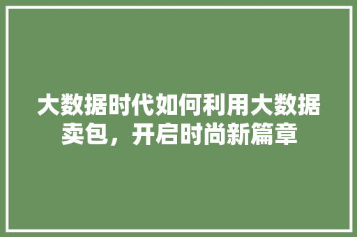大数据时代如何利用大数据卖包，开启时尚新篇章 网络技术