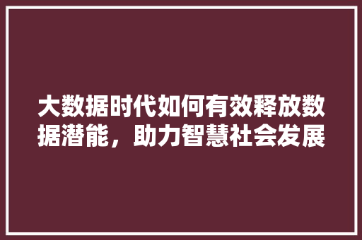 大数据时代如何有效释放数据潜能，助力智慧社会发展