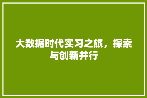 大数据时代实习之旅,探索与创新并行 大数据时代实习之旅,探索与创新并行