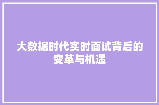 大数据时代实时面试背后的变革与机遇
