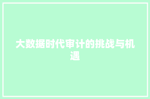 大数据时代审计的挑战与机遇 大数据时代审计的挑战与机遇