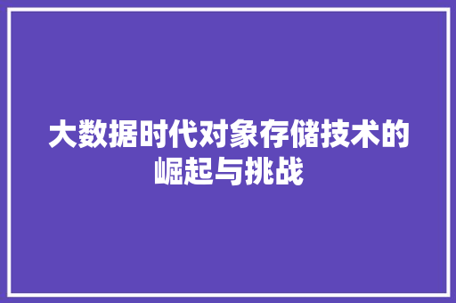 大数据时代对象存储技术的崛起与挑战