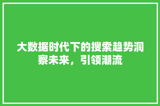 大数据时代下的搜索趋势洞察未来，引领潮流