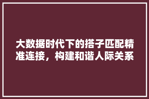 大数据时代下的搭子匹配精准连接，构建和谐人际关系
