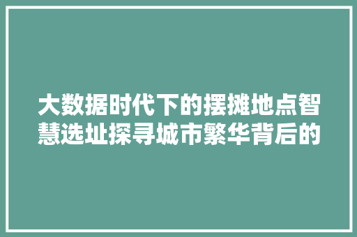大数据时代下的摆摊地点智慧选址探寻城市繁华背后的秘密